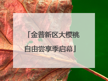 金普新区大樱桃自由尝享季启幕