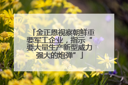 金正恩视察朝鲜重要军工企业，指示“要大量生产新型威力强大的炮弹”