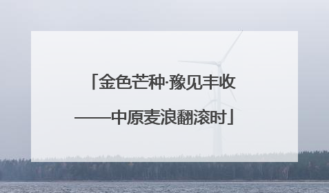金色芒种·豫见丰收——中原麦浪翻滚时