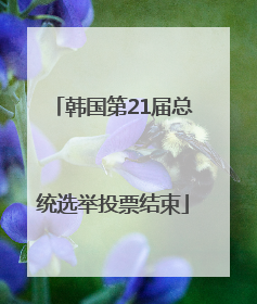 韩国第21届总统选举投票结束