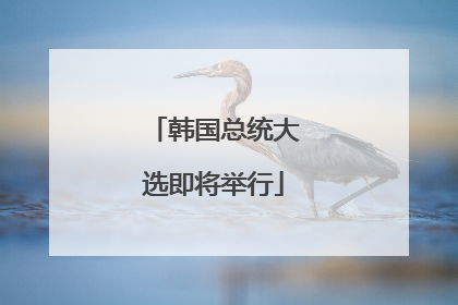 韩国总统大选即将举行