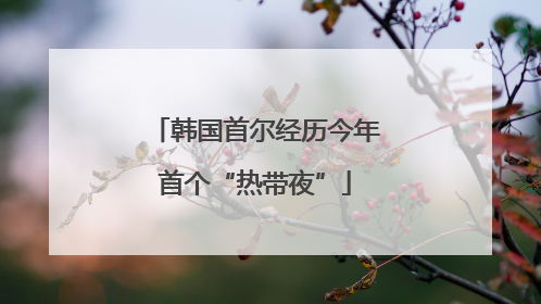 韩国首尔经历今年首个“热带夜”