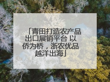 青田打造农产品出口展销平台 以侨为桥，浙农优品越洋出海