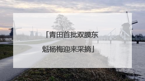 青田首批双膜东魁杨梅迎来采摘