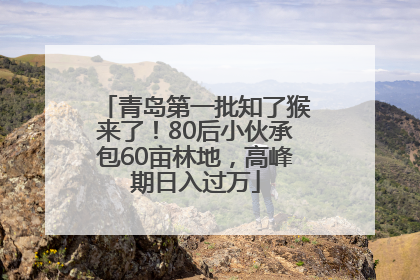 青岛第一批知了猴来了！80后小伙承包60亩林地，高峰期日入过万