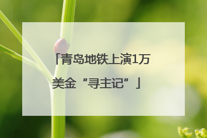 青岛地铁上演1万美金“寻主记”