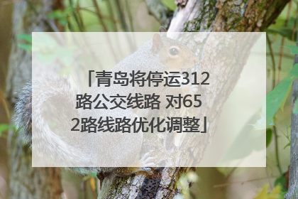 青岛将停运312路公交线路 对652路线路优化调整