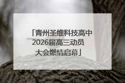 青州圣维科技高中2026届高三动员大会燃情启幕