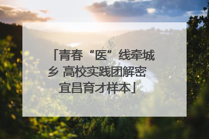 青春“医”线牵城乡 高校实践团解密宜昌育才样本