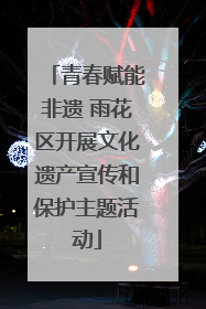 青春赋能非遗 雨花区开展文化遗产宣传和保护主题活动