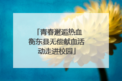 青春邂逅热血 衡东县无偿献血活动走进校园