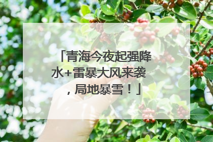 青海今夜起强降水+雷暴大风来袭，局地暴雪！