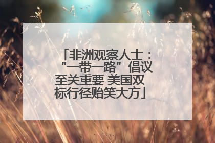 非洲观察人士：“一带一路”倡议至关重要 美国双标行径贻笑大方