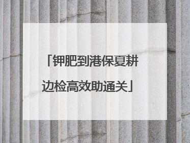 钾肥到港保夏耕 边检高效助通关