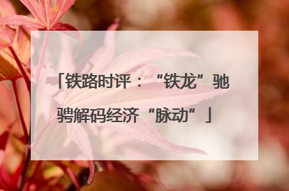 铁路时评：“铁龙”驰骋解码经济“脉动”