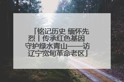 铭记历史 缅怀先烈丨传承红色基因 守护绿水青山——访辽宁宽甸革命老区