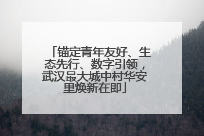 锚定青年友好、生态先行、数字引领，武汉最大城中村华安里焕新在即