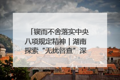 锲而不舍落实中央八项规定精神｜湖南探索“无扰督查”深化基层减负