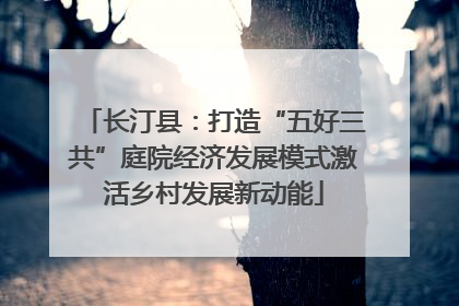 长汀县：打造“五好三共”庭院经济发展模式激活乡村发展新动能