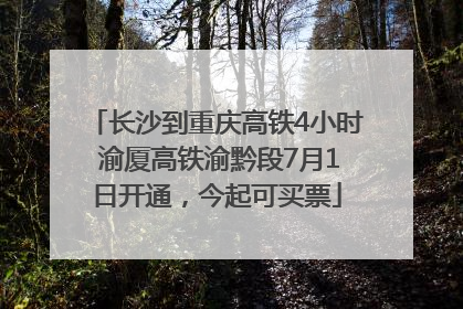 长沙到重庆高铁4小时 渝厦高铁渝黔段7月1日开通，今起可买票
