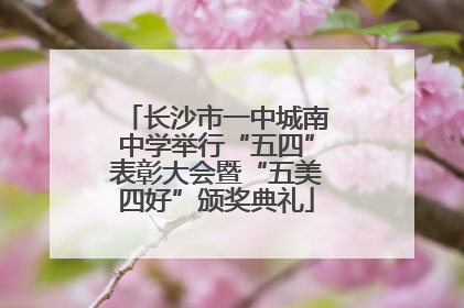 长沙市一中城南中学举行“五四”表彰大会暨“五美四好”颁奖典礼