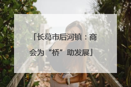 长葛市后河镇：商会为“桥”助发展