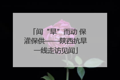 闻“旱”而动 保灌保供——陕西抗旱一线走访见闻
