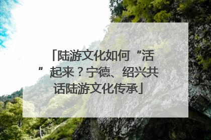 陆游文化如何“活 ”起来？宁德、绍兴共话陆游文化传承