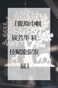陇原巾帼展芳华 科技赋能促发展
