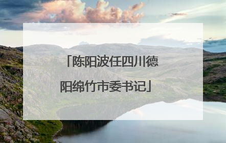陈阳波任四川德阳绵竹市委书记