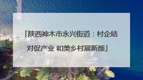 陕西神木市永兴街道：村企结对促产业 和美乡村展新颜