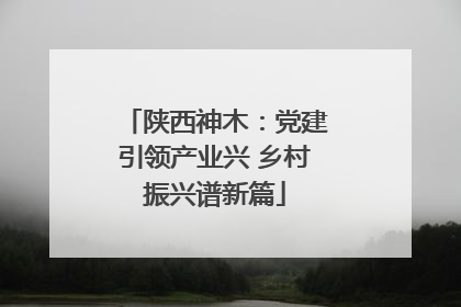陕西神木：党建引领产业兴 乡村振兴谱新篇
