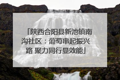 陕西合阳县新池镇南沟社区：葡萄串起振兴路 聚力同行显效能
