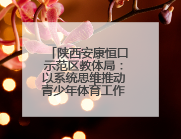 陕西安康恒口示范区教体局：以系统思维推动青少年体育工作高质量发展