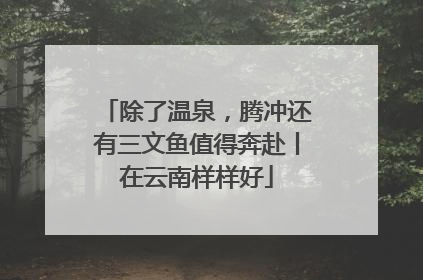 除了温泉，腾冲还有三文鱼值得奔赴丨在云南样样好