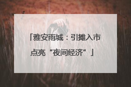 雅安雨城：引摊入市 点亮“夜间经济”