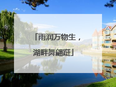 雨润万物生，湖畔舞翩跹