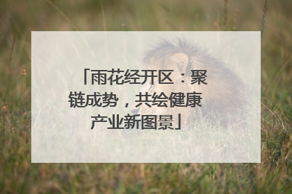雨花经开区：聚链成势，共绘健康产业新图景
