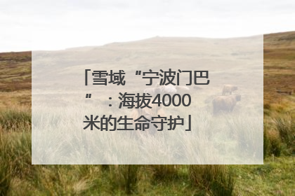 雪域“宁波门巴”：海拔4000米的生命守护