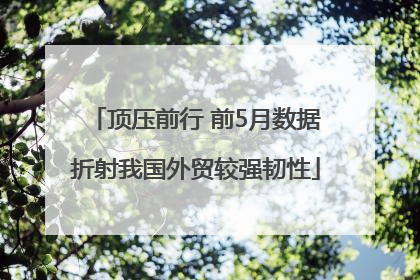 顶压前行 前5月数据折射我国外贸较强韧性