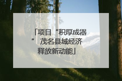 项目“积厚成器” 茂名县域经济释放新动能