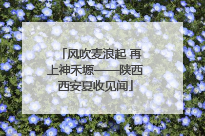 风吹麦浪起 再上神禾塬——陕西西安夏收见闻
