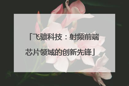 飞骧科技：射频前端芯片领域的创新先锋