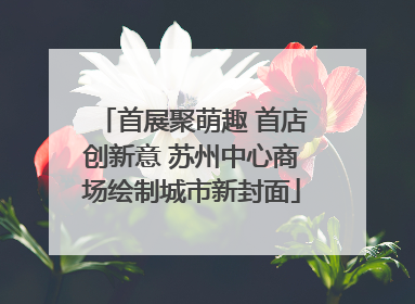 首展聚萌趣 首店创新意 苏州中心商场绘制城市新封面