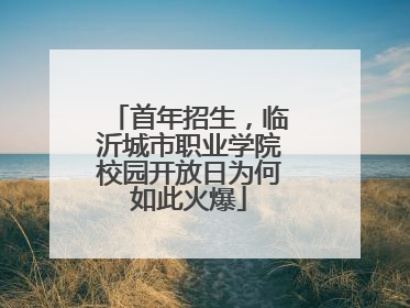 首年招生，临沂城市职业学院校园开放日为何如此火爆