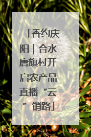 香约庆阳｜合水唐旗村开启农产品直播“云”销路