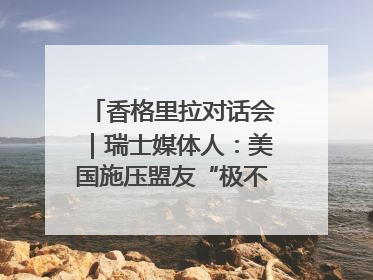 香格里拉对话会｜瑞士媒体人：美国施压盟友“极不理性” 欧洲国家无意与中国“脱钩断链”