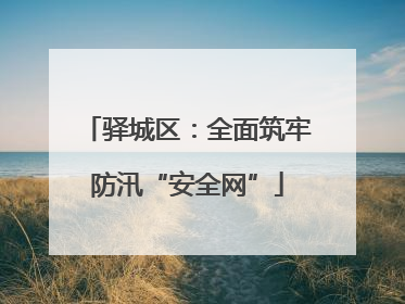 驿城区：全面筑牢防汛“安全网”