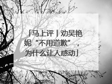 马上评丨劝吴艳妮“不用道歉”，为什么让人感动