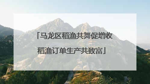 马龙区稻渔共舞促增收 稻渔订单生产共致富